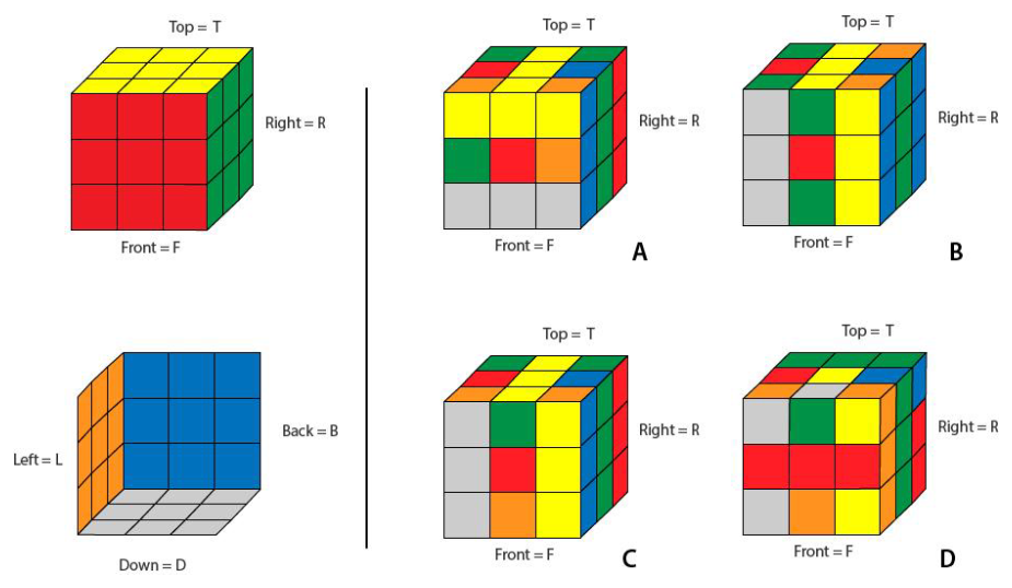 Figure for question 40